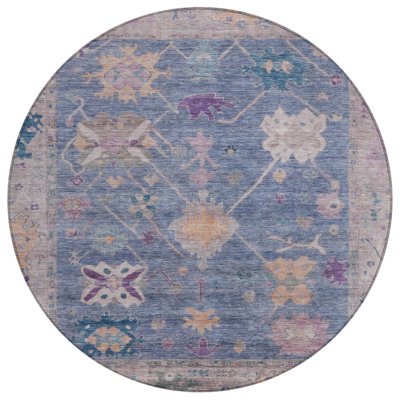 Machine Washable Indoor/Outdoor Xhevrie Blue Rug