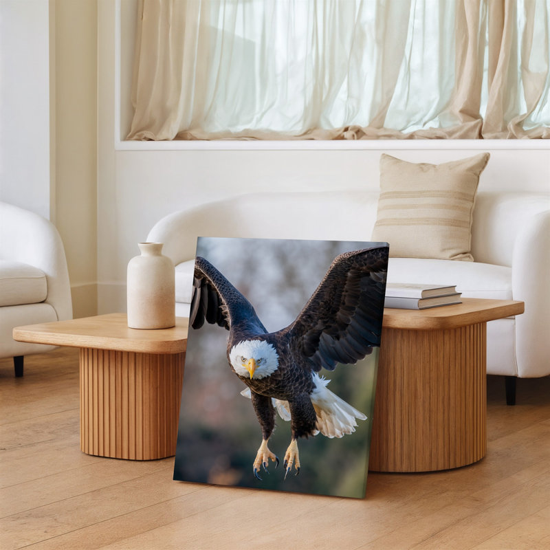 Toile, Aigle chauve majestueux en vol, H 18 po x l 24 po