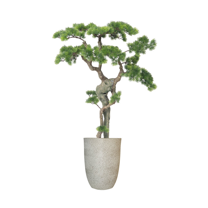 Bonsaï de beauté véritable de 52 po H