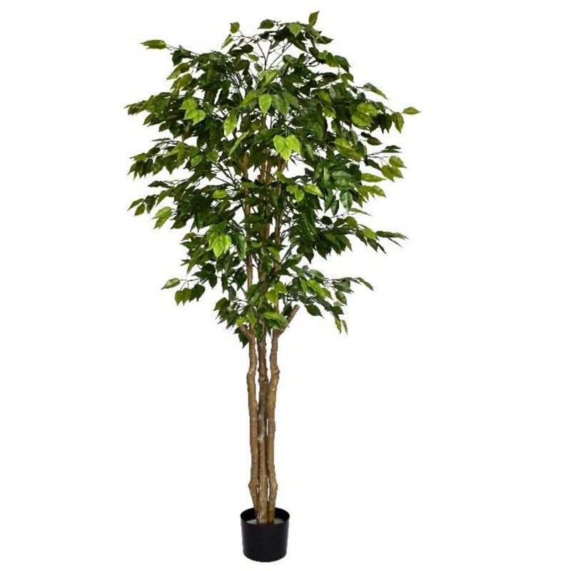 Anlin 180cm Faux Ficus Tree in Pot