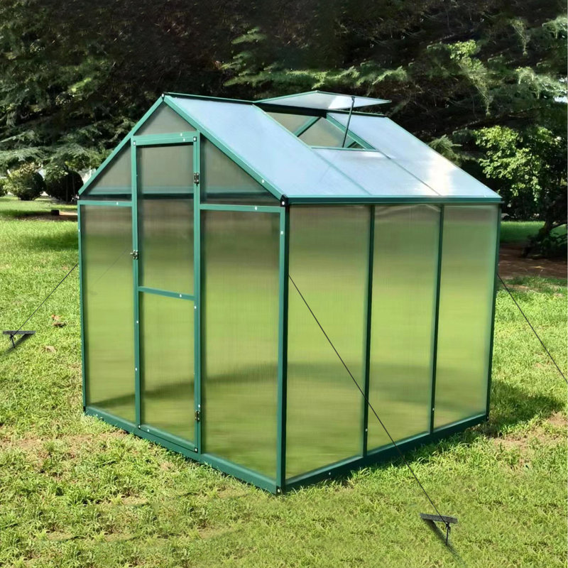 Serre en polycarbonate de 6 pi x 6 pi - Hauteur de gain et cadre en aluminium robuste résistant au vent pour l'extérieur