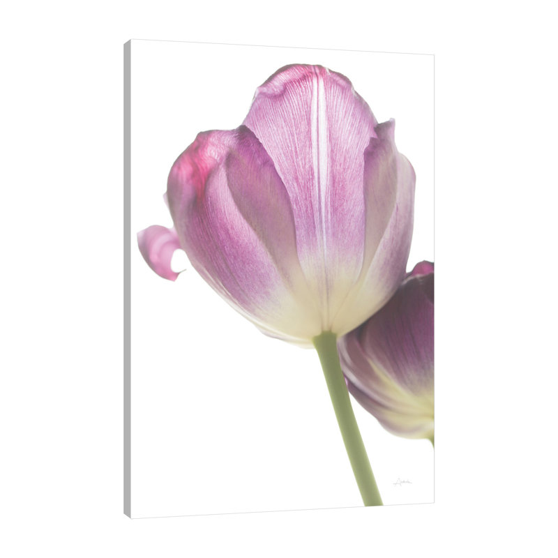 "Tulip Time IV", toile tendue par Aledanda, H 18 po x l 12 po x P 1,5 po