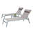 Outdoor Adjustable Backrest Leisure Recliner (Set of 2 Chairs with Table)-811513114