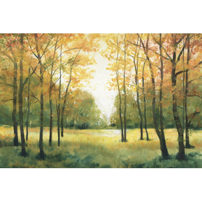 Fall Retreat I by Tim OToole - Wrapped Canvas Print