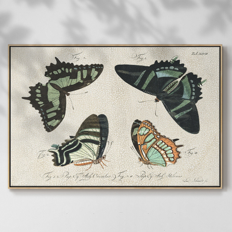 «Crackled Butterflies III», reproduction d'art sur toile, H 25 po x l 37 po x P 2 po, Toile naturelle avec cadre flottant