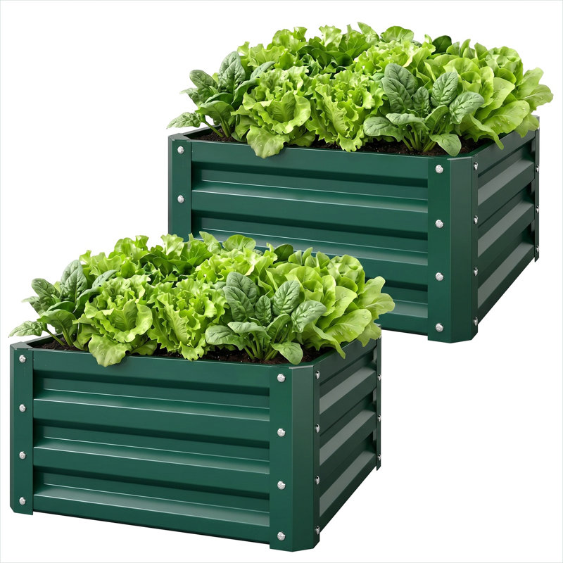 Paquet de 2 pots à légumes 23,5 x 23,5 x 12 pouces