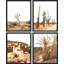 " Framed Desert Cactus Texas Arizona Set Of 4 Landscape Wall Decor Prints " 4 - Pieces-93011945-93011942