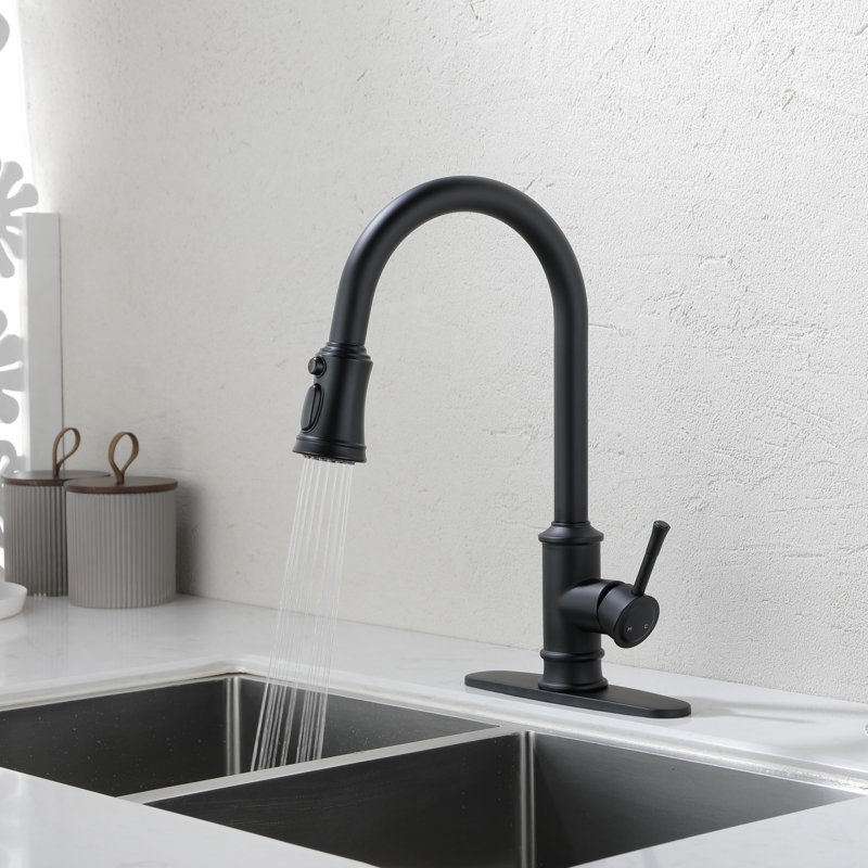 Kitchen Faucet With Pull Out Spraye