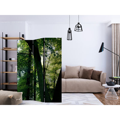 Gollub 135cm W x 172cm H 3 - Panel Solid Wood Folding Room Divider