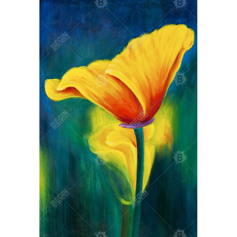 «Superb Contrast Flowers» sur toile, H 36 po x l 24 po