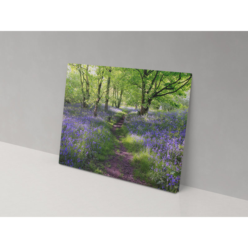Canvas Collection Bluebell Woodland - Wrapped Canvas Print, 82cm H x 123cm W x 4cm D