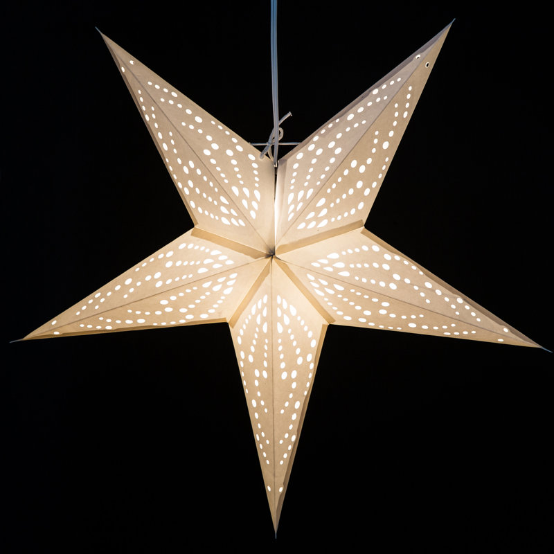 Frozen Paper Star Light Lanterns
