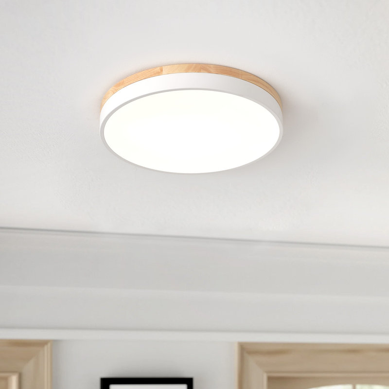 1-LED Ceiling Light with white Gold Industrial Iron, Silver