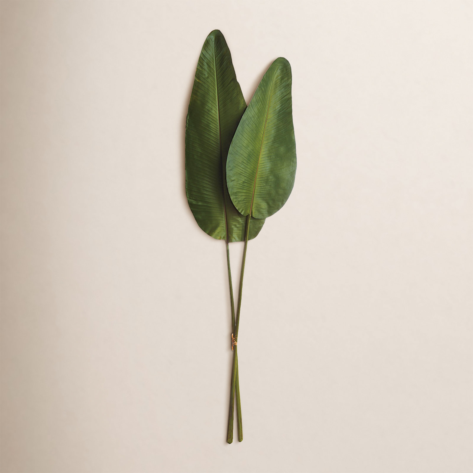 Cupp Strelitzia Arrangement