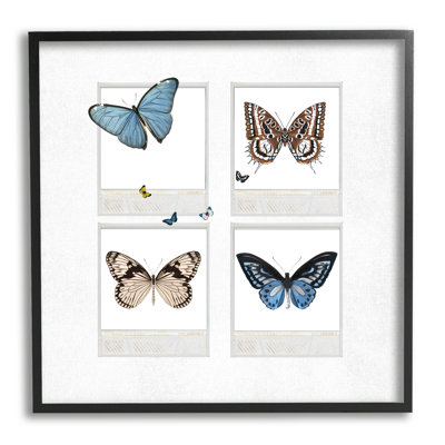«Butterflies Vintage Film Nature» par Karen Smith, impression sur bois avec cadre flottant