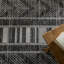 Phoebe Machine Washable Kimmons Chevron Area Rug in Black/Light Gray-1557063291