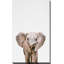 Bébé éléphant par - photographie-406450598-406450596