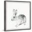Monett Bunny Rat, reproduction encadrée-827974681
