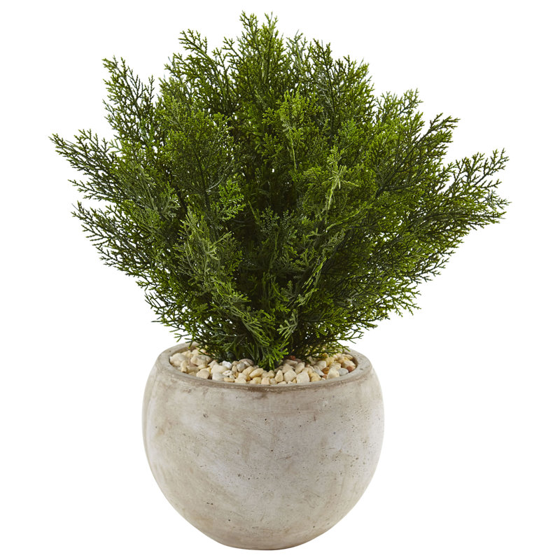 24'' Faux Cedar Plant in Stone Planter