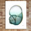 Shimmering Snail - Wrapped Canvas Print-365136575