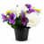 Purple Pansy & Rose / Set of 1
