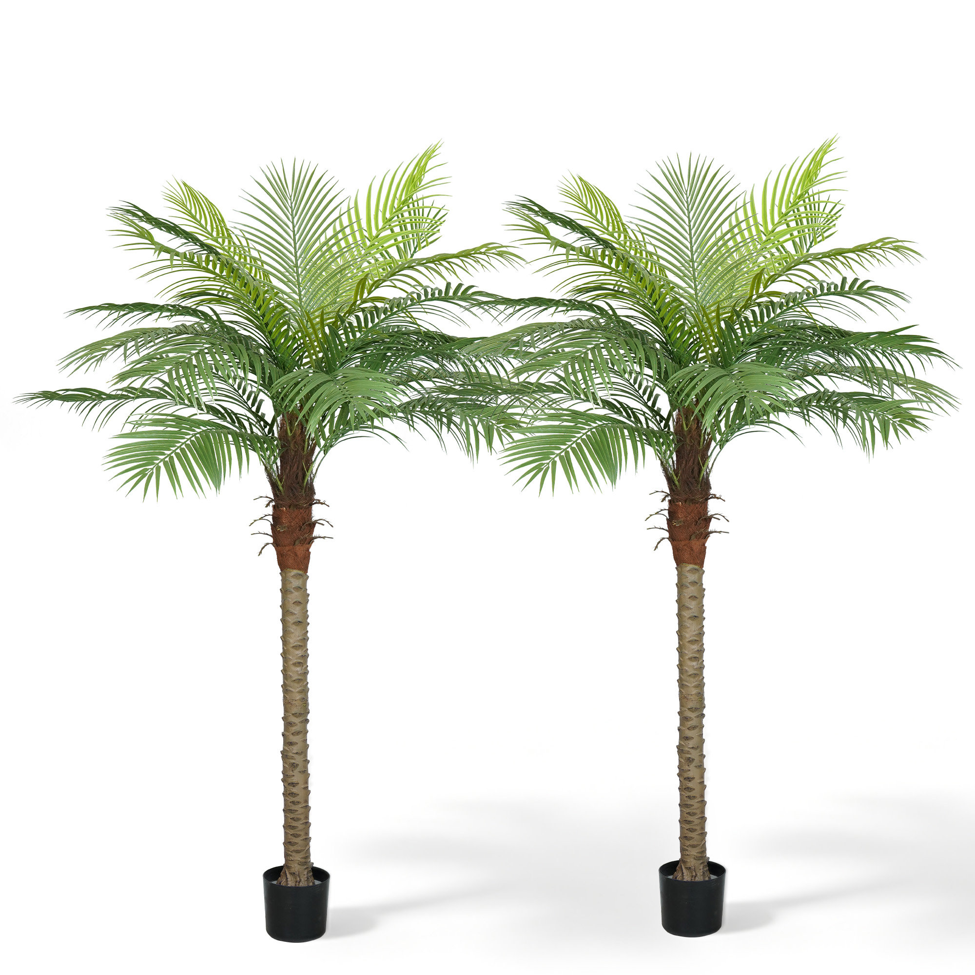 Vitalismo Artificial Palm Tree In A Pot A Set & Reviews | Wayfair