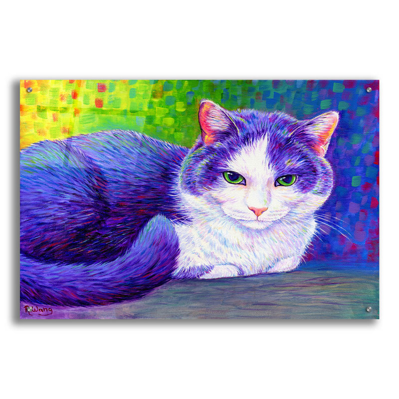 "Chat tuxedo mauve" par Rebecca Wang Art, H 24 po x l 36 po x P 0,2 po
