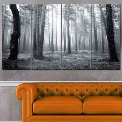 " Black And White Foggy Forest "
