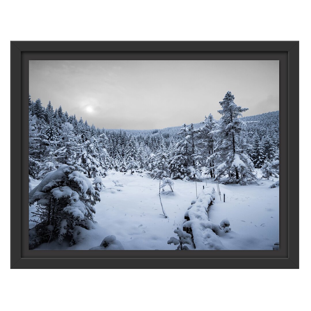 Gerahmtes Wandbild Waldverschneiten Winter