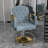 Hydraulic Salon Chair 360° Swivel (Single Pack)-826313775
