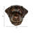Labrador Retriever Door Knocker