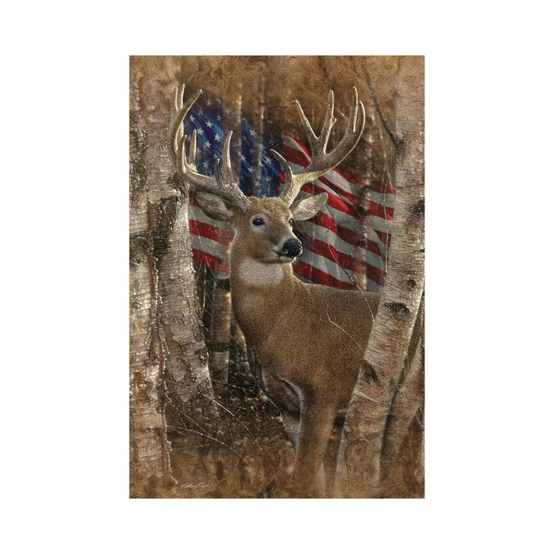 Whitetail Buck America par Collin-gris-impression d’art graphique, H 12 po x l 8 po x P 0,75 po, Toile tendue, Pas de tapis