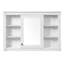 Armoire de rangement murale de salle de bain 42 po
