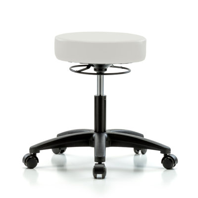 Exaucet Adjustable Height Lab Stool with Removable Casters/Wheels