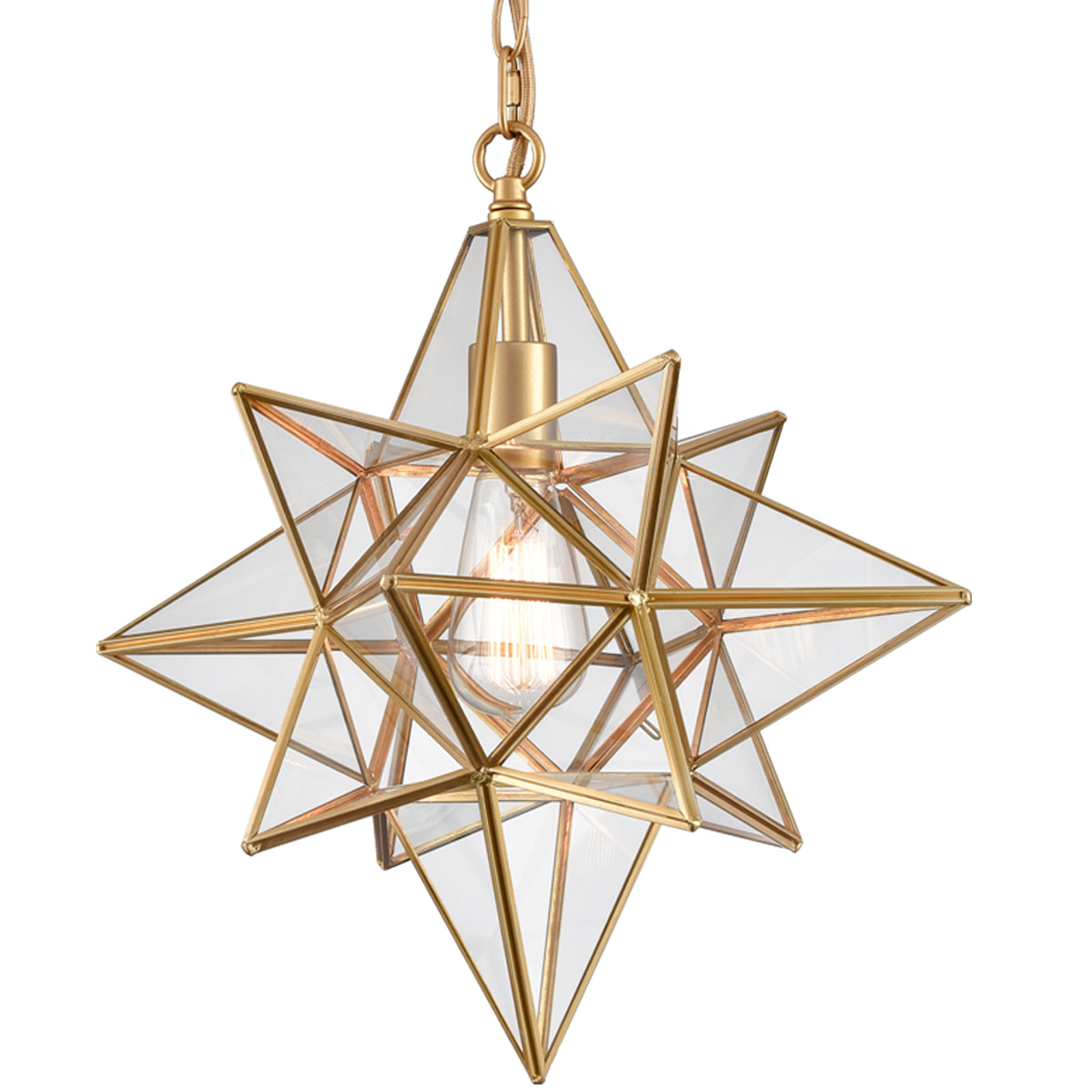 Corrigan Studio® Moravian Star Light Modern Black Pendant Lights Clear