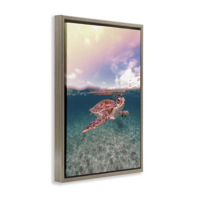 Toile flottante «Above & Dessous Sea Turtle» par Max Blakesberg Studios