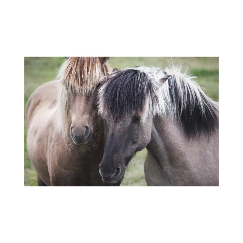 Dynamic Duo by MScottPhotography - Wrapped Canvas Gallery-Wrapped Canvas Giclée, 20.32 cm H x 30.48 cm W