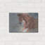 «Equine exercise» par Robert Campbell-653095550