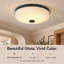 Glass Flush Mount