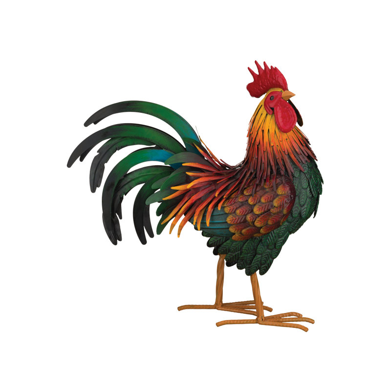 Coq rouge Rhode Island