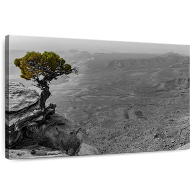 Harnek Canyonlands Lone Tree