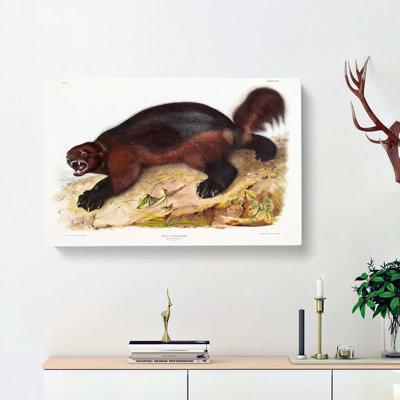 Wolverine by J.W. Audubon - Wrapped Canvas