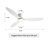 Jamarreon 42''/52'' Flush Mount Dimmable Ceiling Fan with LED Lights and Remote Control-1566889514