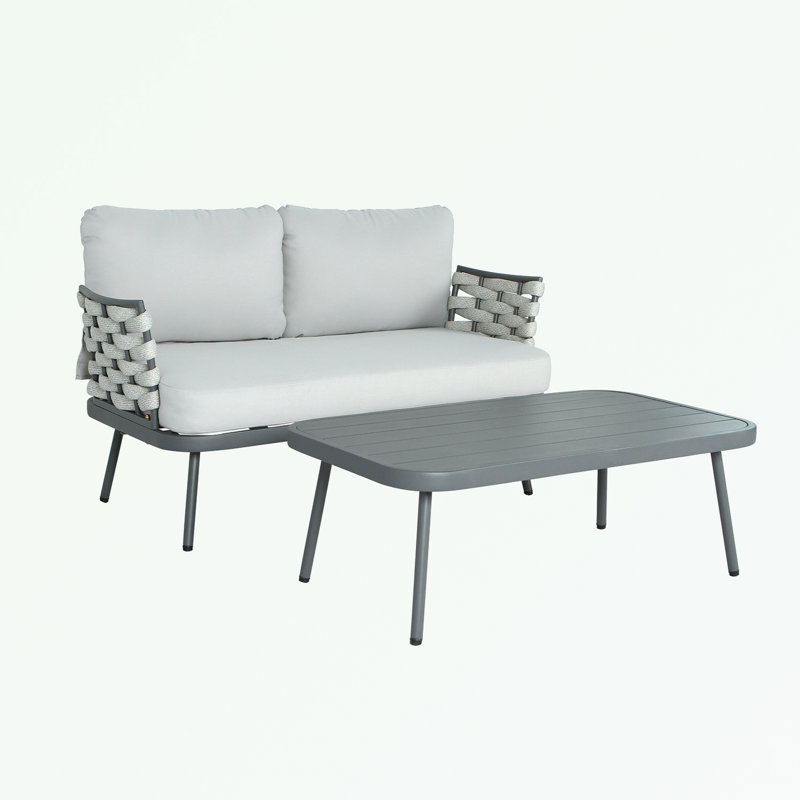 Ensemble de causeuse d'extérieur 2 pièces avec coussins moelleux, Gris, Gris