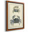 Toile encadrée de qualité supérieure antique Blue Crabs II - prête à être accrochée-441027643