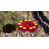Jaune / rouge