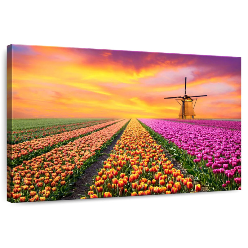 Champ de fleurs de tulipes Alvord Sunrise, H 26 po x l 39 po