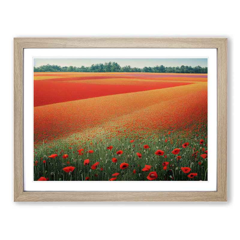 Exquisite Poppy Field Flowers - Single Picture Frame Print, 25cm H x 34cm W x 2cm D, Oak Framed