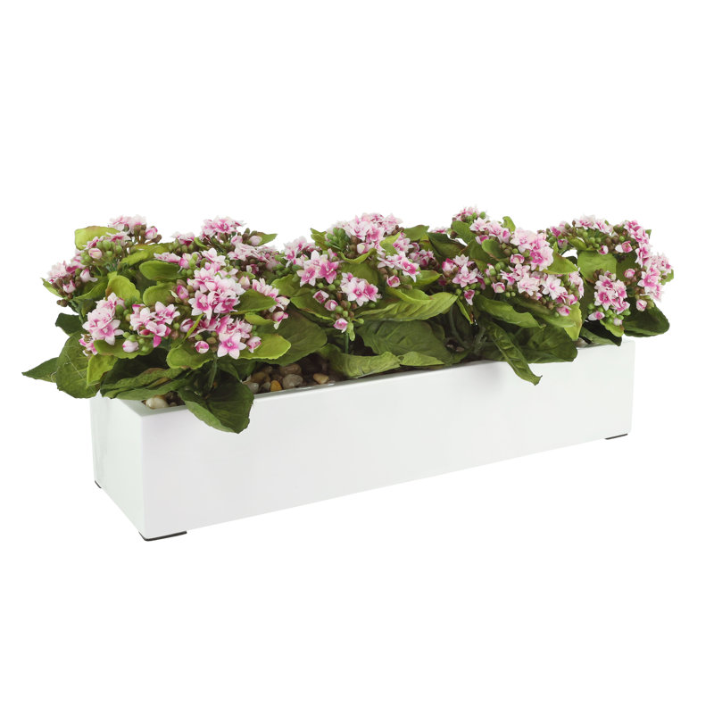 Kalanchoe Arrangement in Fiberstone Planter, Purple/White, 9.5" H x 23" W x 9.5" D
