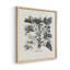 «Vintage Floral Print», impression encadrée, ensemble de 4-78337489-78337518